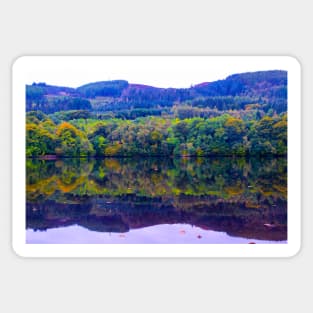 Scottish forest water reflections in Pitlochry Sticker